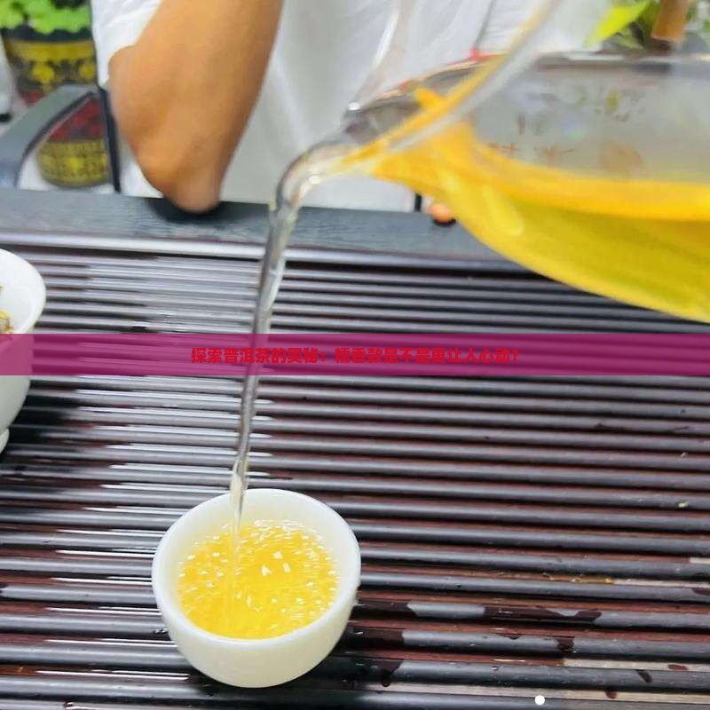 普洱茶糯香的好喝还是原味的