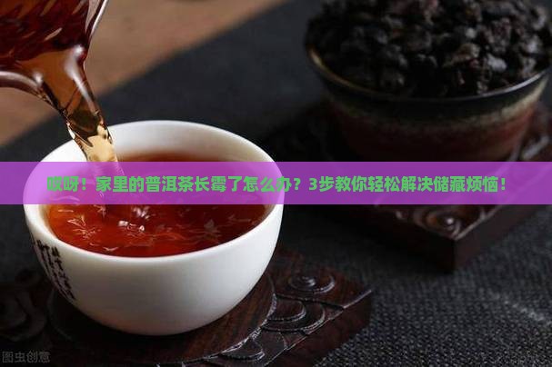 普洱茶起霉了怎么处理