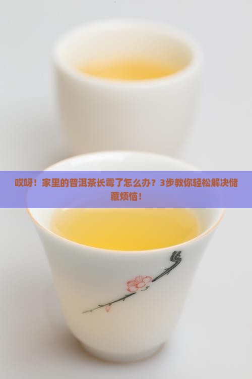 普洱茶起霉了怎么处理