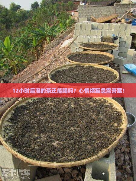 超过12小时的茶能喝吗