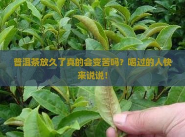 普洱茶放多会苦吗