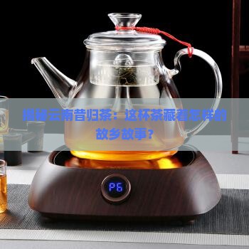 云南昔归是什么茶叶