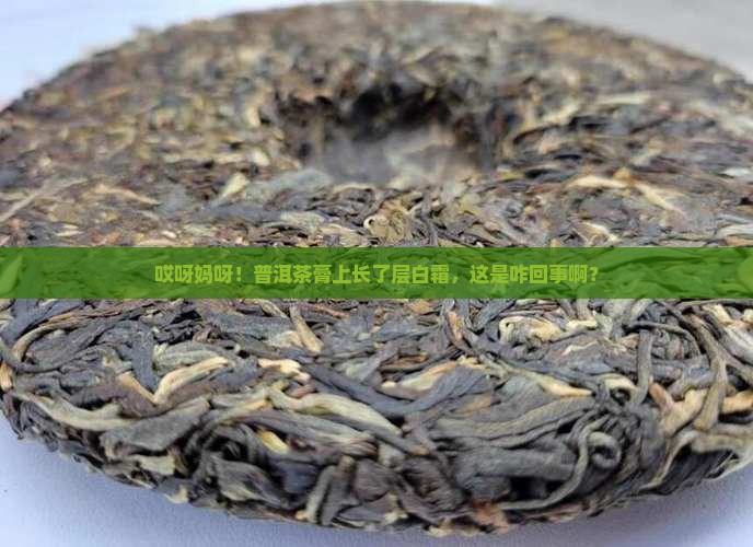 普洱茶膏一层白霜怎么办
