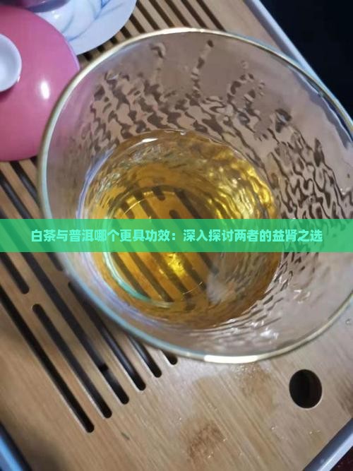 老白茶和普洱茶哪个对肾好