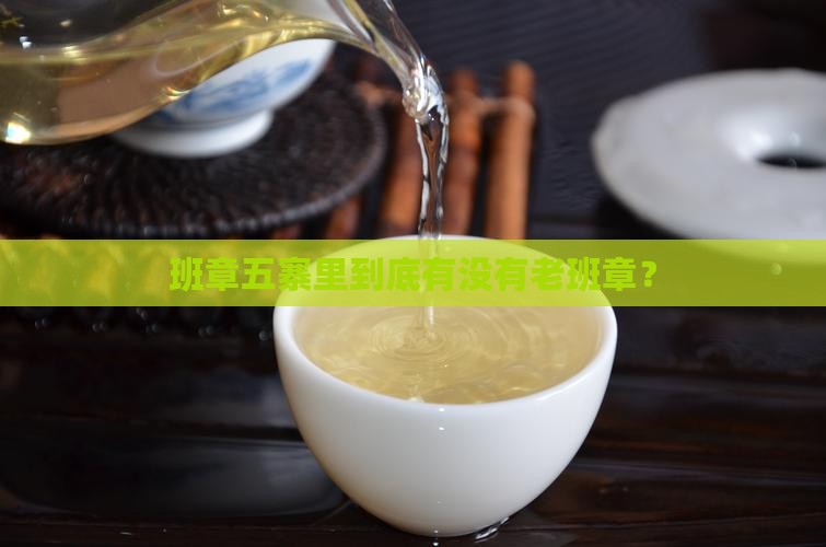 班章五寨是老班章吗