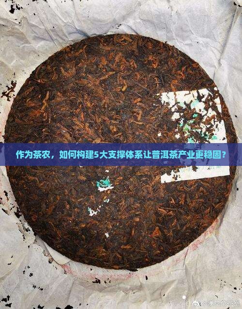 普洱茶产业支撑体系