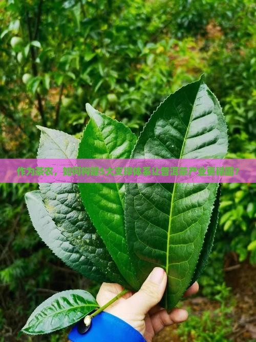 普洱茶产业支撑体系