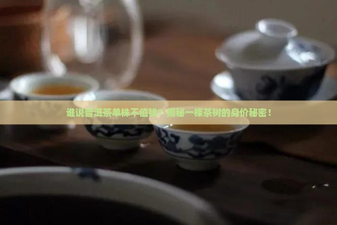 普洱茶单株价钱