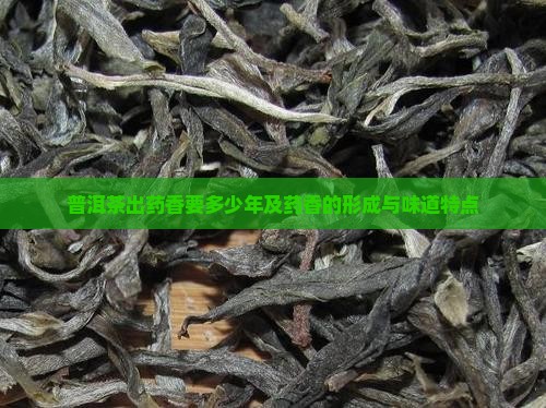 普洱茶出药香要多少年