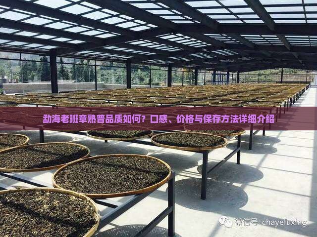 勐海老班章熟普好不好
