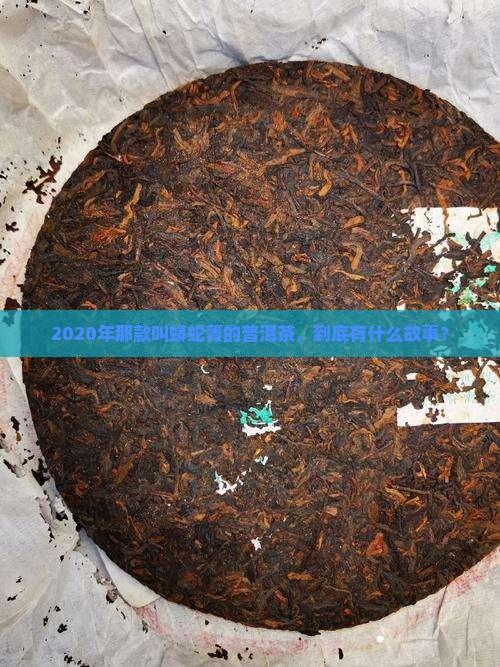 2020蟒蛇箐普洱茶