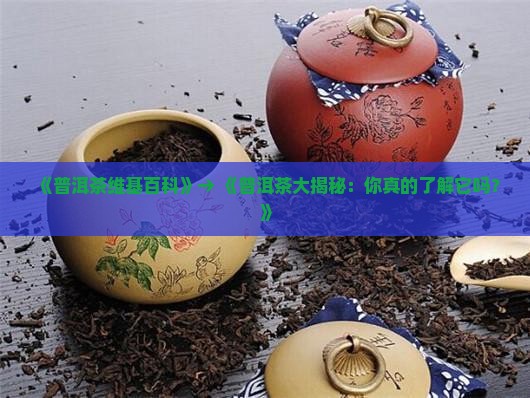 普洱茶维基百科