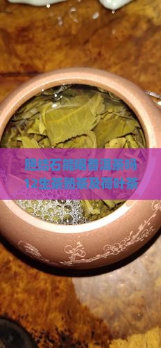 胆结石12能喝普洱茶吗