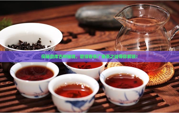 勐库古树普洱茶碧绿春茶厂