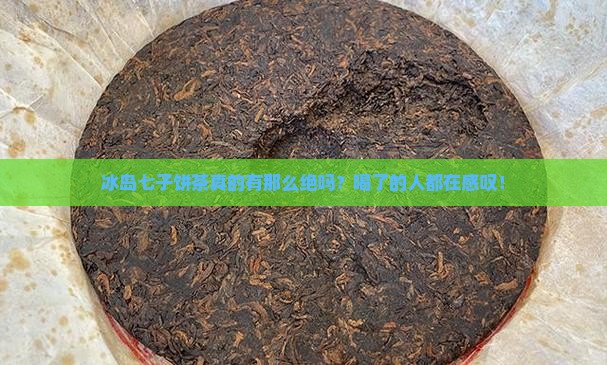 冰岛七子饼茶怎么样