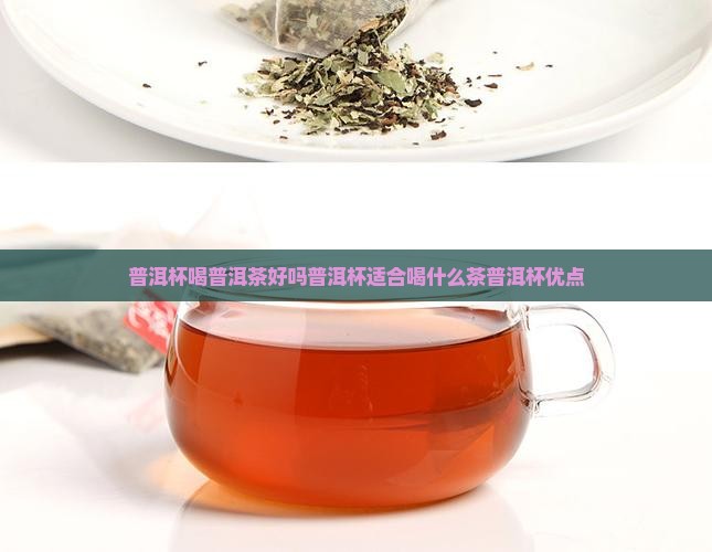 普洱杯喝普洱茶