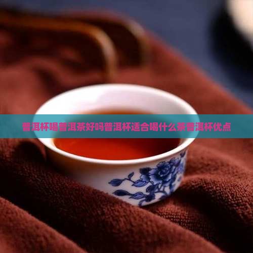 普洱杯喝普洱茶