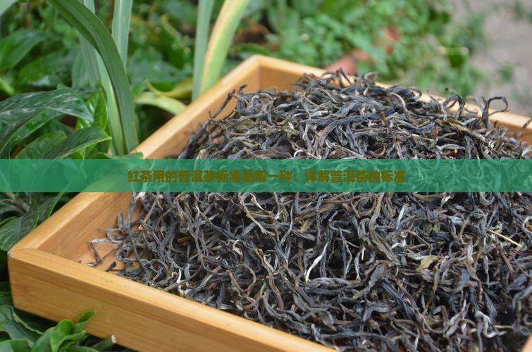 红茶用的普洱茶标准是哪一种