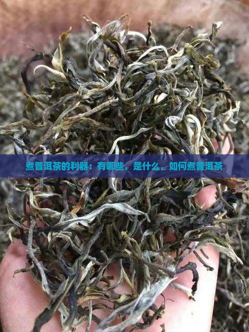 煮普洱茶的利器