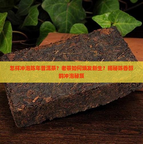 怎样冲泡陈年普洱茶