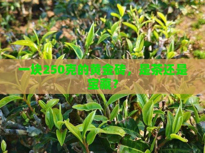 250克黄金砖普洱茶