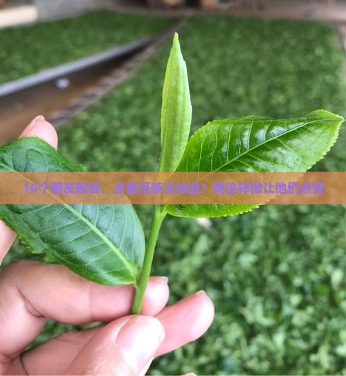 普洱茶一点味道