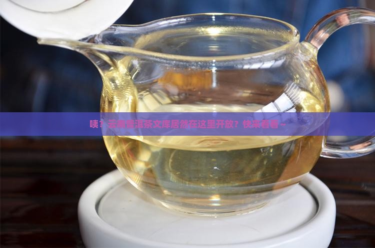 云南普洱茶文库在哪里开放