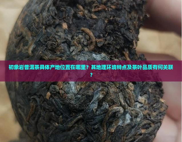初象岩普洱茶产地在哪里呢