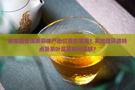 初象岩普洱茶产地在哪里呢