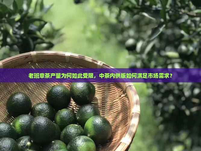 中茶内供老班章产量
