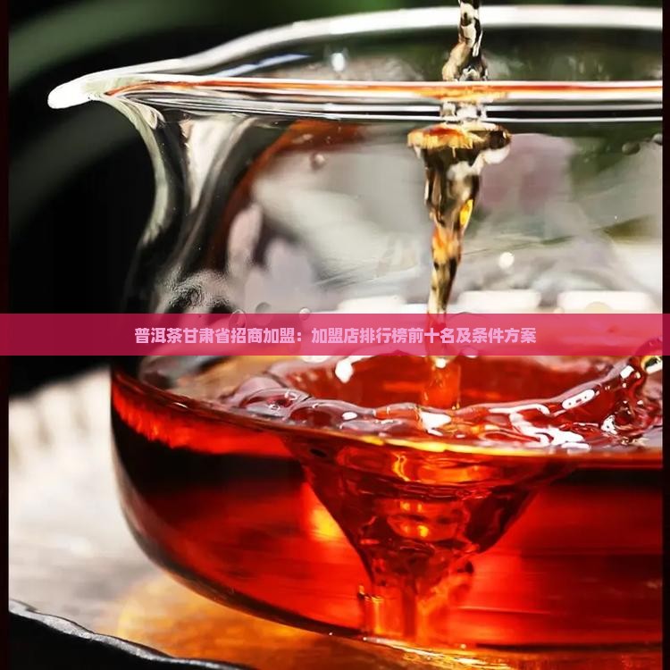 普洱茶甘肃省招商加盟