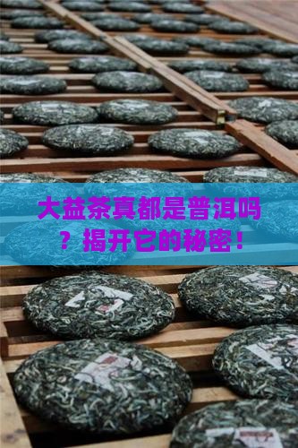 大益茶都是普洱吗