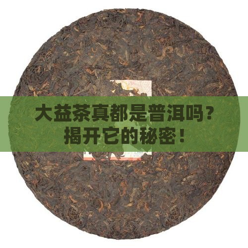 大益茶都是普洱吗