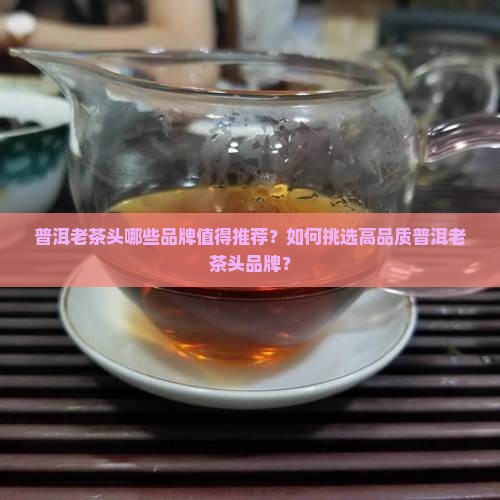 普洱老茶头什么品牌好