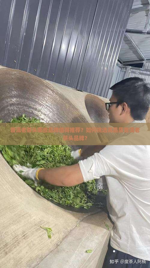 普洱老茶头什么品牌好
