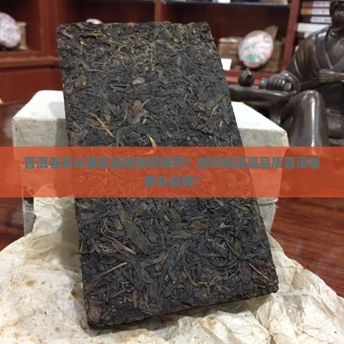 普洱老茶头什么品牌好