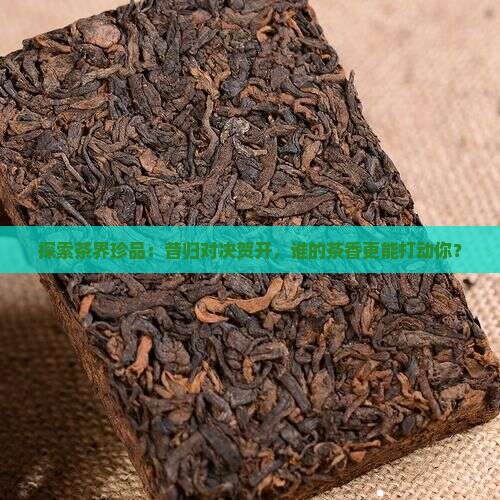 昔归和贺开哪个茶好