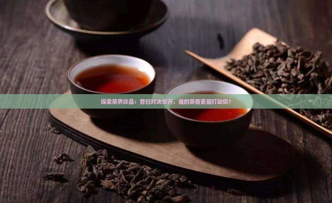 昔归和贺开哪个茶好