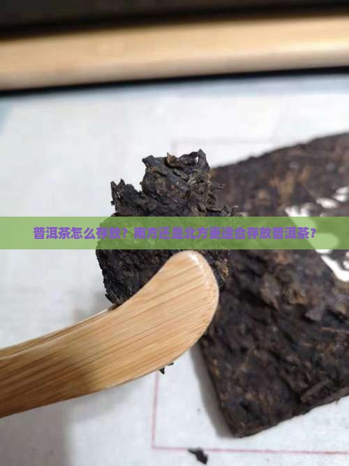 普洱茶怎么存放南方还是北方