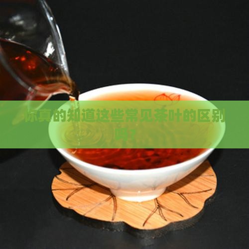 常见的茶叶种类有哪些