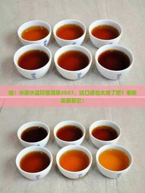 中茶水蓝印普洱茶2007