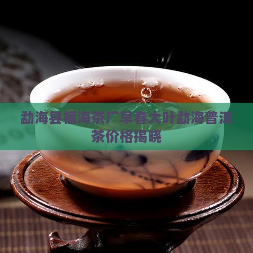 福海早春大叶普洱茶