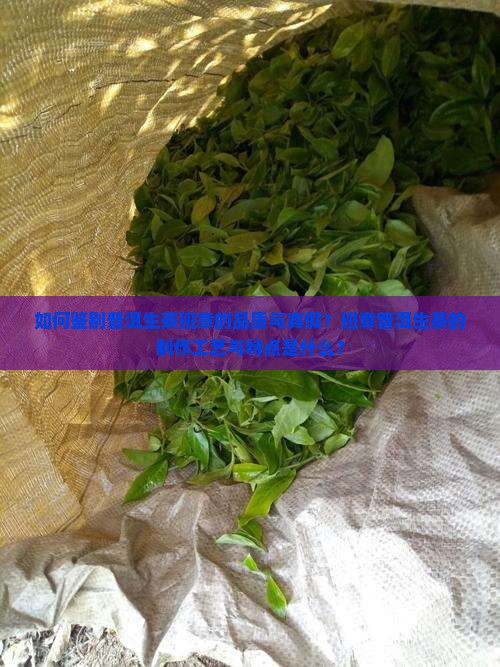 普洱茶生茶班章