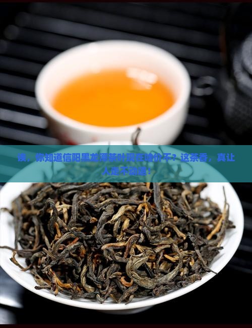 信阳黑龙潭茶叶价格