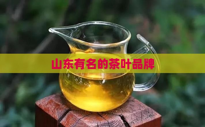 山东有名的茶叶品牌