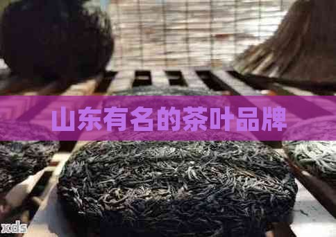 山东有名的茶叶品牌