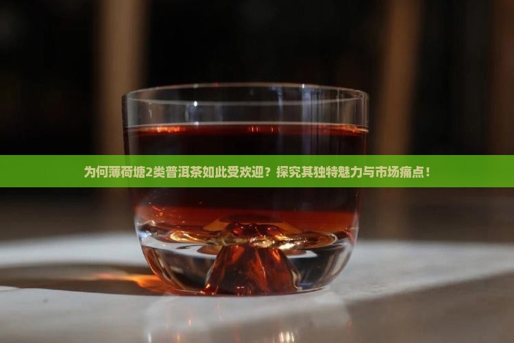 薄荷塘2类普洱茶