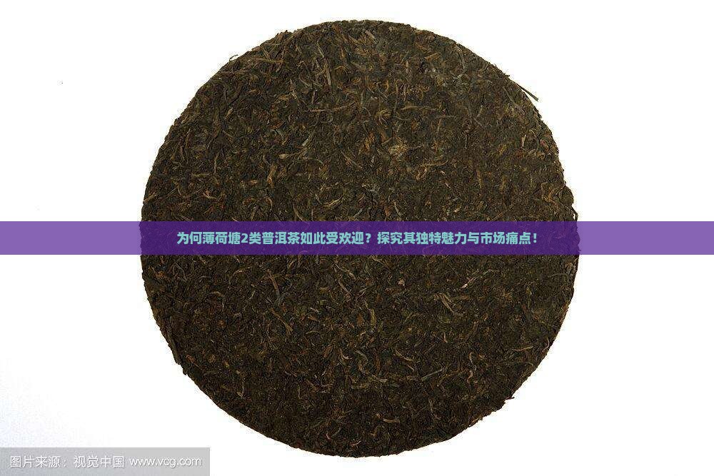 薄荷塘2类普洱茶