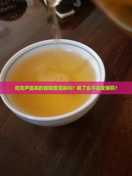 吃完芦荟可以喝普洱茶吗
