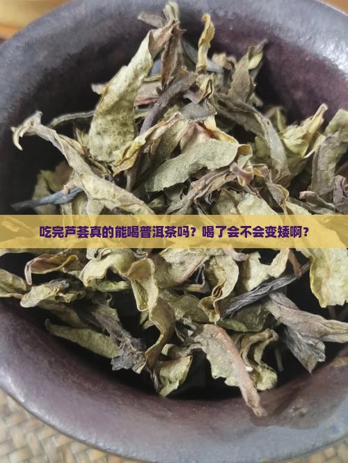 吃完芦荟可以喝普洱茶吗